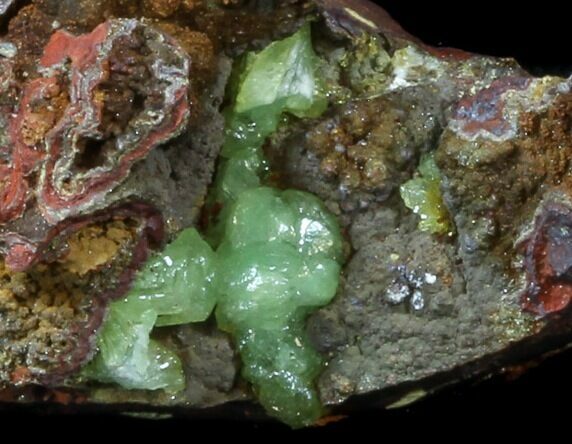 Gemmy, Green Adamite Crystals - Durango, Mexico #34938